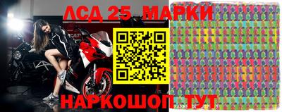 трава Сланцы