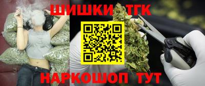 трава Сланцы