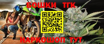 трава Сланцы