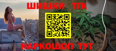 трава Сланцы