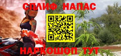 трава Сланцы